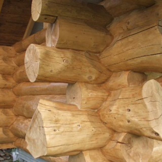 Ma Cabane en rondin - Castellane