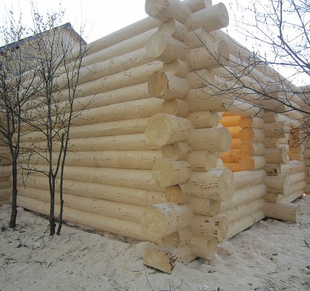 Ma Cabane en rondin - Castellane